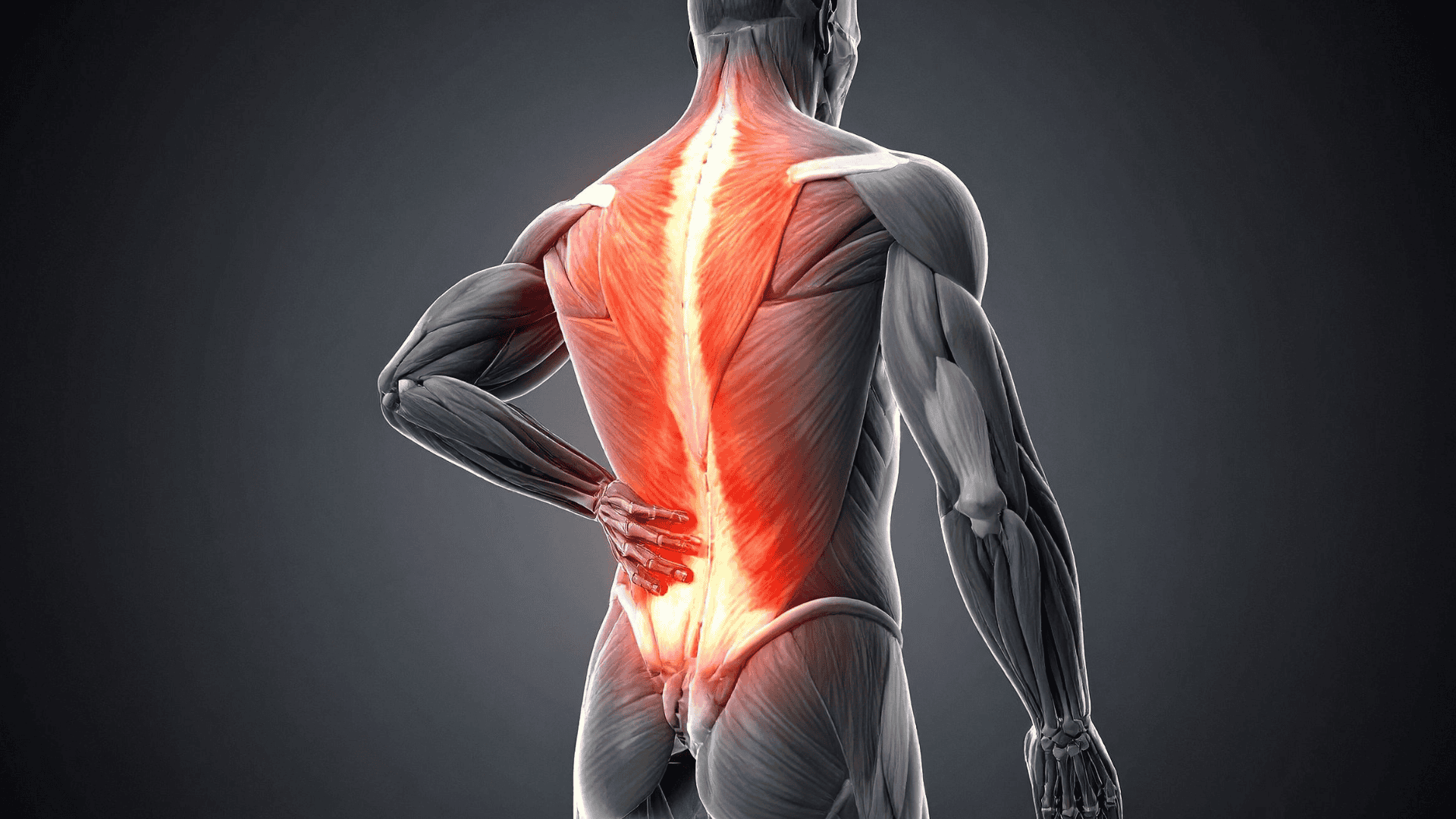 Anterior cervical corpectomy removes damaged vertebral bone to relieve spinal cord compression. Dr. Wascher performs this complex procedure with precision.